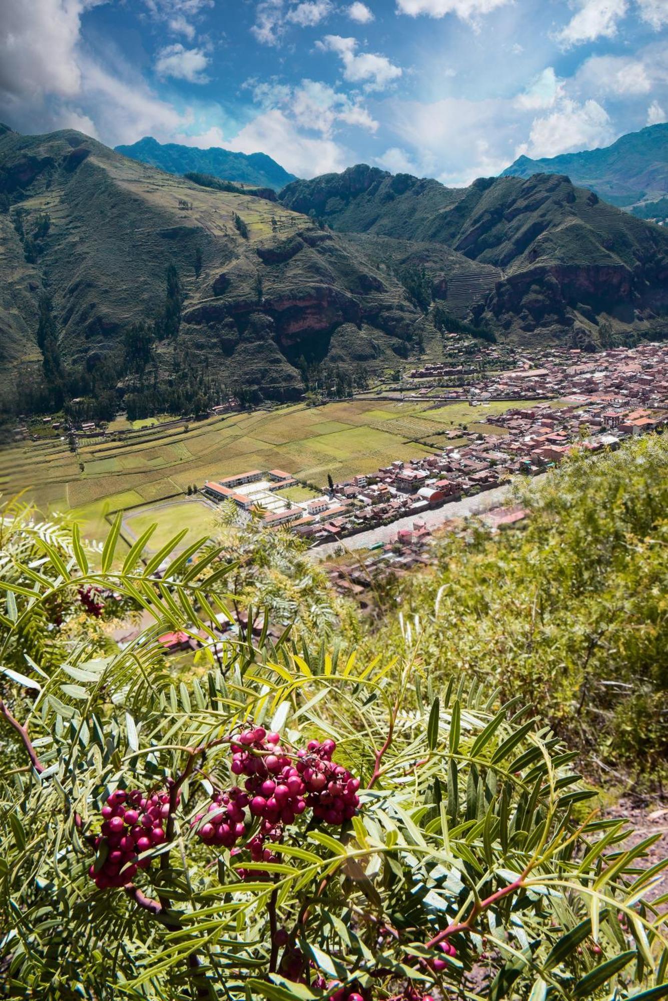 Rumi Lodge Pisac Exteriör bild